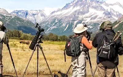 A Trip to Katmai National Park from Anchorage: A Wilderness Adventure